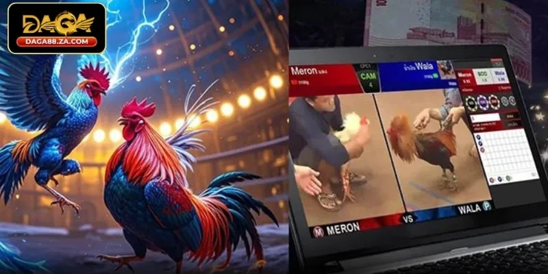 Livestream Full HD cùng bình luận viên chuyên nghiệp